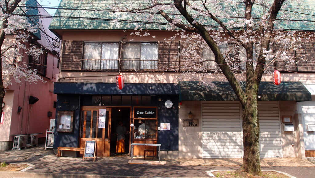 春 司法書士・行政書士事務所(松戸市)の近くには日本の道100選にも選ばれているさくら通りがあります。